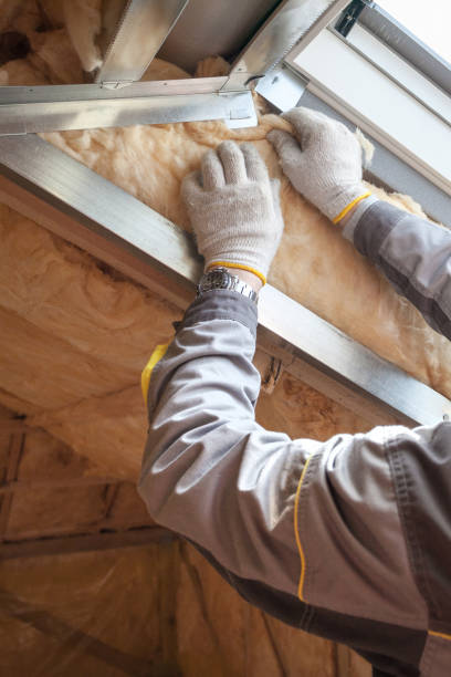 Best Commercial Insulation in Montclair, VA