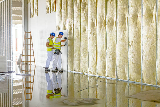 Best Spray Foam Insulation in Montclair, VA